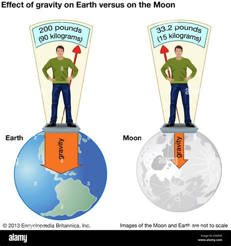 Effect of gravity on Earth versus on the Moon Stock Photo - Alamy