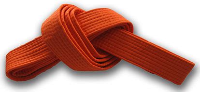 Best Of how long to get orange belt in karate Karate belt orange test ...