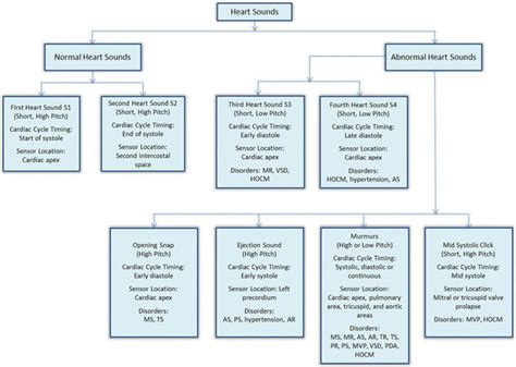 Characteristics of heart sounds. | Download Scientific Diagram