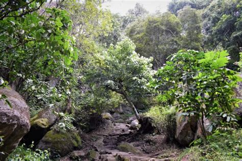 The Silent Stories of The Rocks of Edakkal Caves Wayanad, Kerala, India