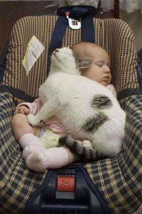 20 Of The Cutest Pictures Of Cats And Babies