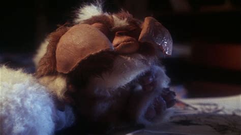 Stripe/Gallery | Gremlins Wiki | Fandom