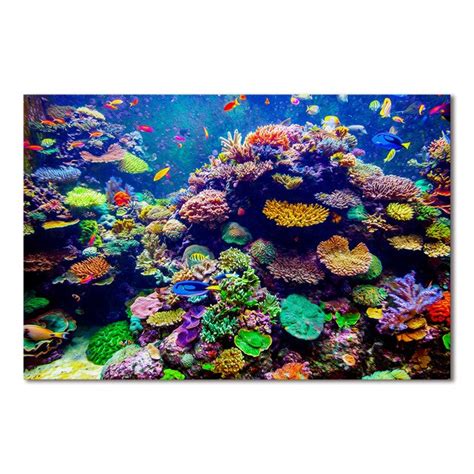 Coral Reef Watercolor Painting at PaintingValley.com | Explore collection of Coral Reef ...