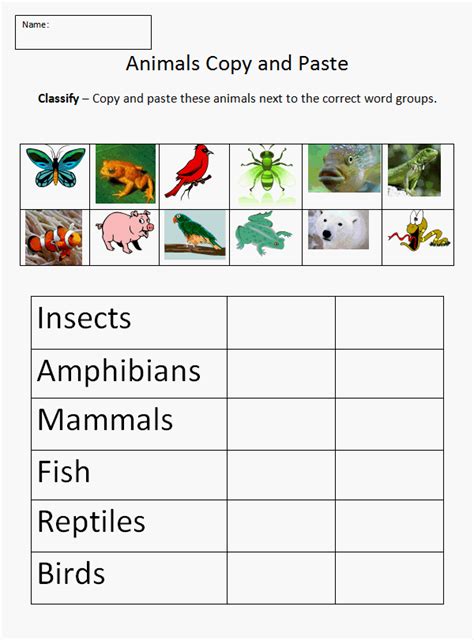 Copy and Paste - Classifying Animals | K-5 Technology Lab | Animal classification, Animal ...