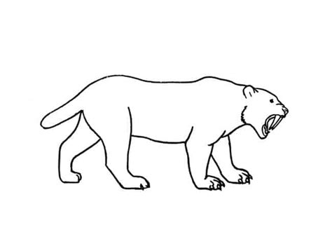 Saber Tooth Tiger Drawing, Sabertooth Tiger Line Drawing Shefalitayal - Check spelling or type a ...