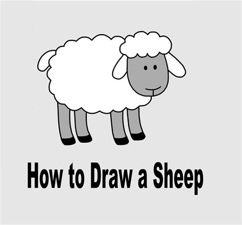 How To Draw A Sheep Cartoon