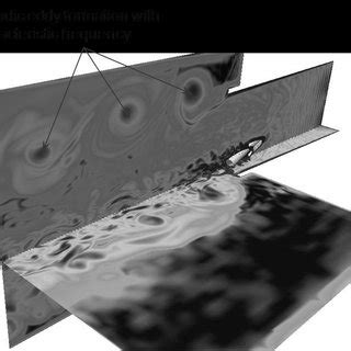 Contour plot of vorticity on the symmetry planes of the simulation... | Download Scientific Diagram