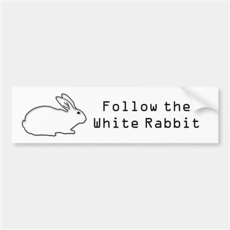 Follow the White Rabbit Bumper Sticker | Zazzle.com