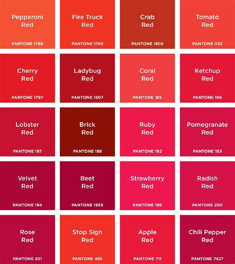 pantone red colors | Pantone red, Pantone color chart, Pantone color