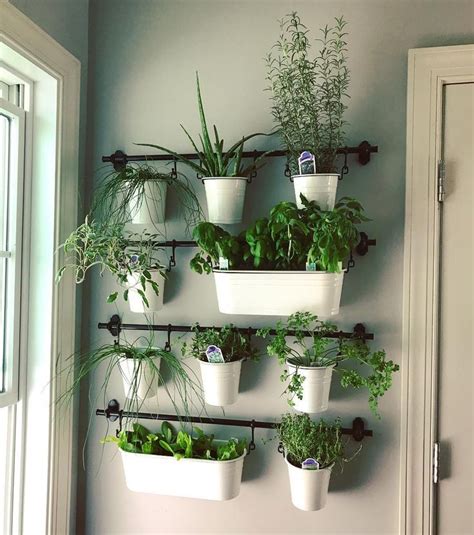 Indoor herb gardens on Instagram for the kitchen | Herb garden wall ...