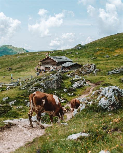 A Guide to Hiking Seceda, Dolomites | taverna travels