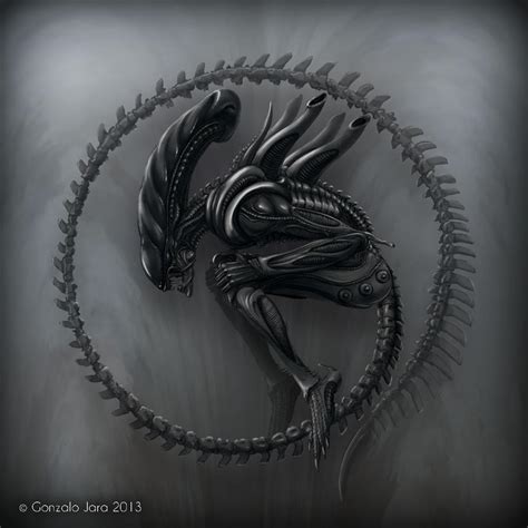 Xenomorph by TopGon on DeviantArt