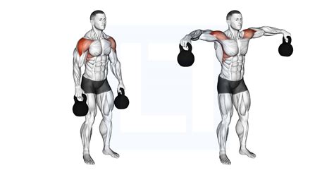 Cable One Arm Lateral Raise - Guide, Benefits, and Form