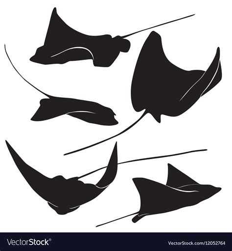 Manta Ray Vector at Vectorified.com | Collection of Manta Ray Vector free for personal use