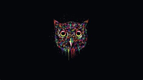 HD wallpaper: multicolored owl illustration, the dark background, paint, minimalism | Wallpaper ...