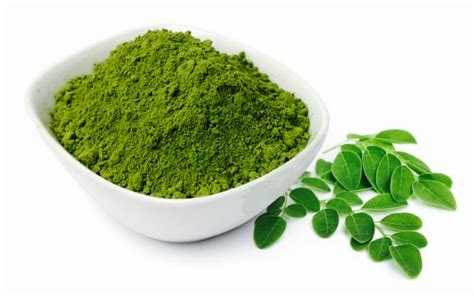 Jual Bubuk Daun Kelor - Moringa Oleifera Powder - Kota Tangerang - Wenzi Corporation | Tokopedia