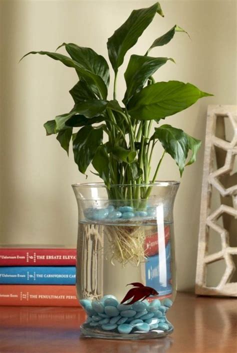 Indoor Water Garden Ideas That Make Your Home Fresh 42 | Fish plants, Indoor water garden, Fish vase