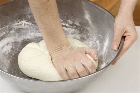 Kneading The Dough Picture. Image: 1952760