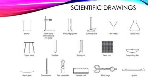 Science Tools and Scientific Drawing