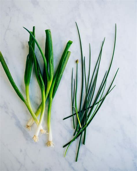 Chives vs Green Onions: A Breakdown! – A Couple Cooks