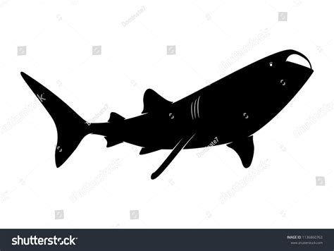 Silhouette Animal Whale Shark On White Stock Vector (Royalty Free) 1136860763 | Shutterstock