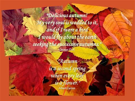 Autumn Quotes ~ Autumn Posters Picture