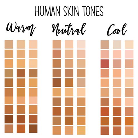 Human skin tone color palette 7511504 Vector Art at Vecteezy