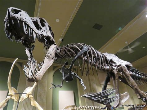 Kenosha museums explore history from dinosaurs to manufacturing - The Walking Tourists