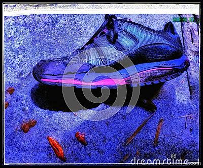 Sketchers Posterior Building Shoe Stock Photography | CartoonDealer.com #157292312