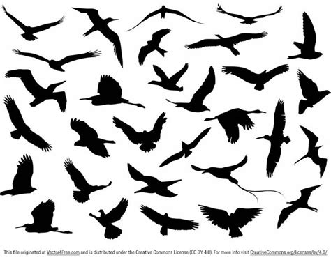 Free Vector Flying Birds Silhouette