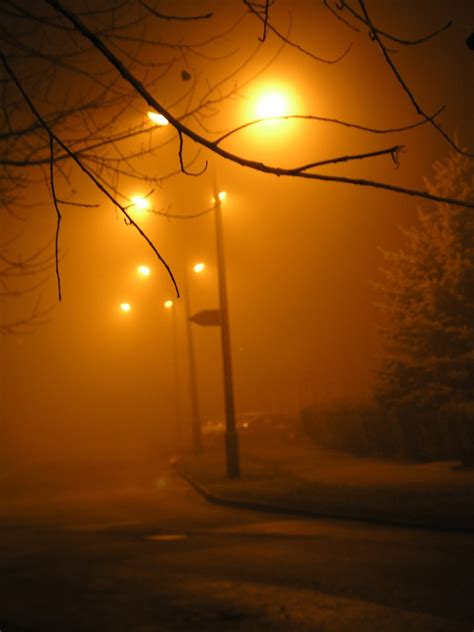 Free Foggy night 1 Stock Photo - FreeImages.com