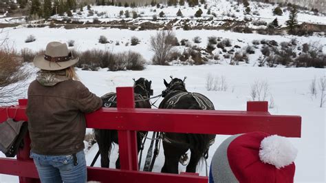 Colorado Sleigh Rides | Horse-Drawn Sleighs and Wagons in CO