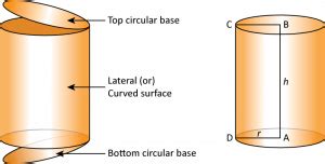 Curved Surface Area of Cylinder – Derivation, Formula and Examples - mydomain