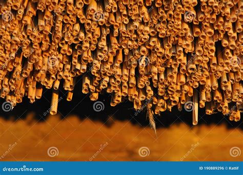 Straw roof in details stock photo. Image of villagehouse - 190889296