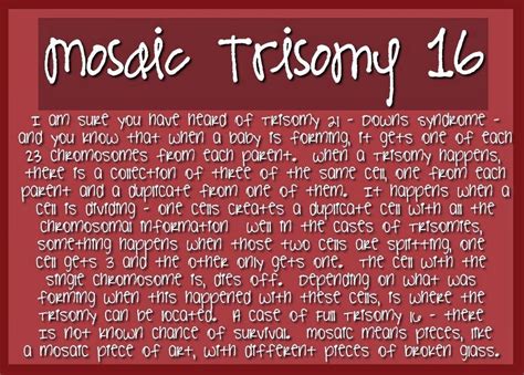 My Unique Flowers: Noah & Mosaic Trisomy 16