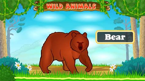 Types Of Wild Animals Animated Video For Kids English Video Dailymotion