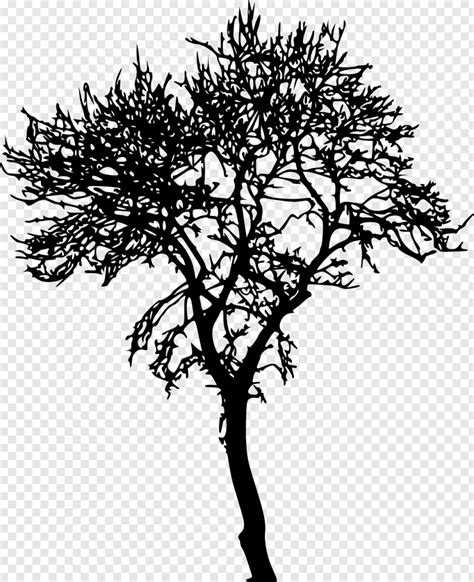 Jungle Tree Silhouette Transparent , Png Download - Tree Silhouette - 1088x1338 (#27153534) PNG ...