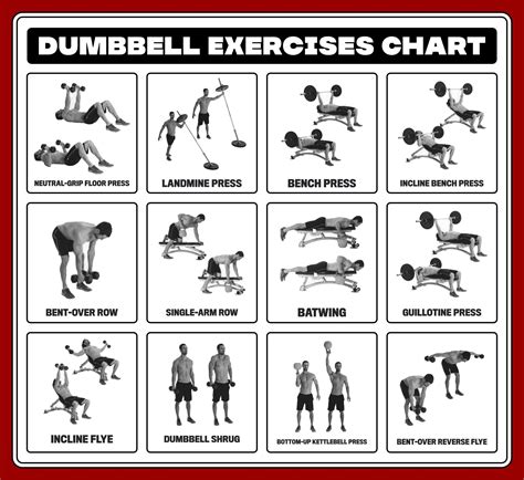 Dumbbell Workout Chart Free