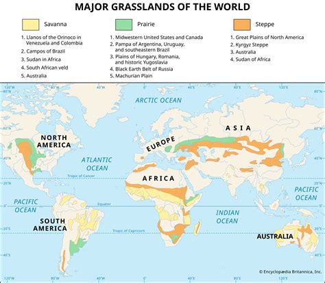 Tropical Grassland Biome Map