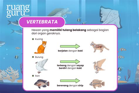 Macam-Macam Organ Gerak Hewan & Fungsinya | IPA Terpadu Kelas 5