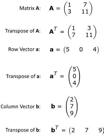 Difference Between a Row & Column Vector - Lesson | Study.com