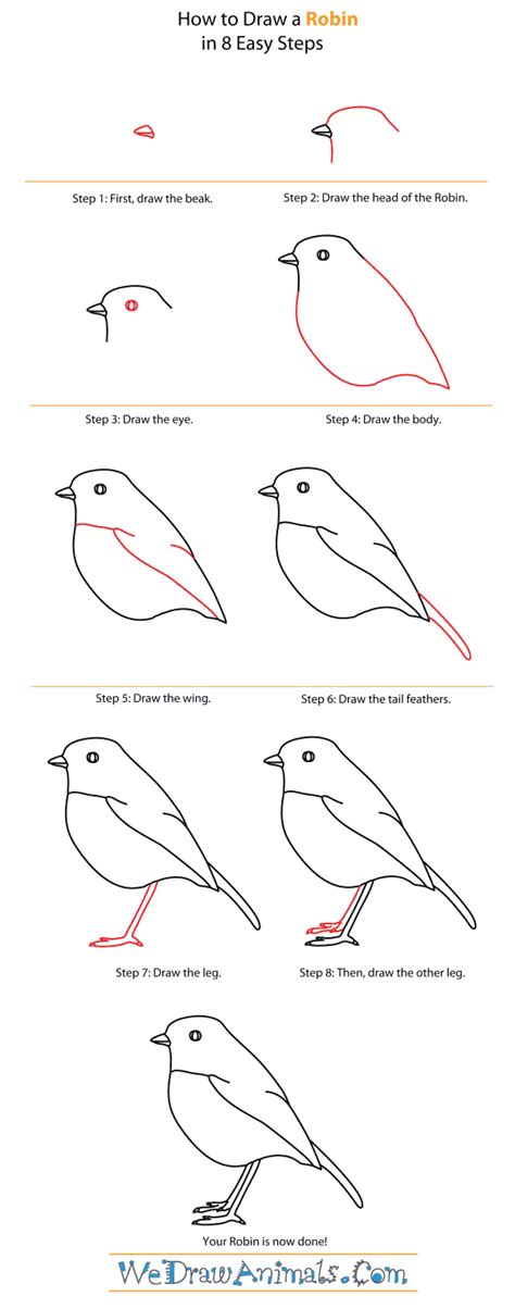 How to Draw a Robin