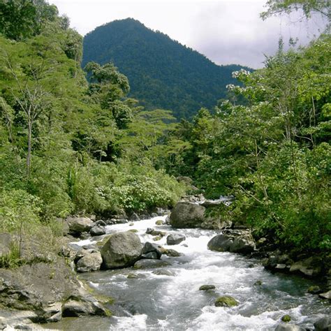 Costa Rica Rainforest/Jungle & Beach Vacation Itinerary