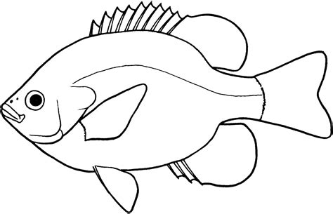 Fish Drawing Images - ClipArt Best