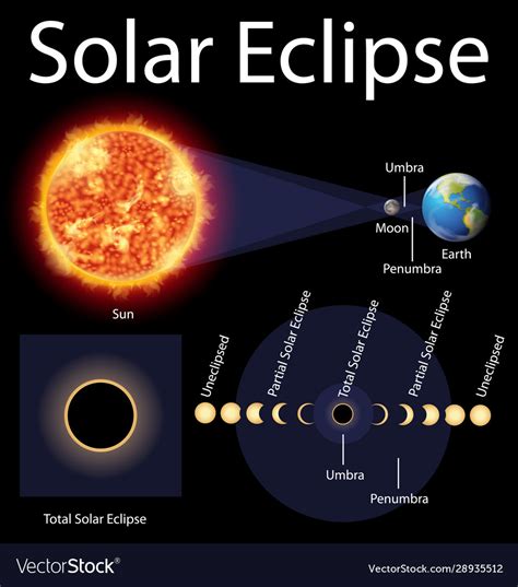 Diagram showing solar eclipse on earth Royalty Free Vector