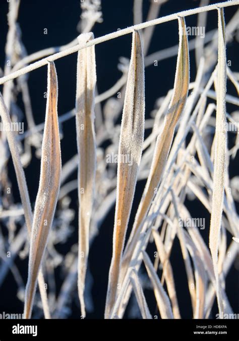 Winter at a castle in Germany Stock Photo - Alamy