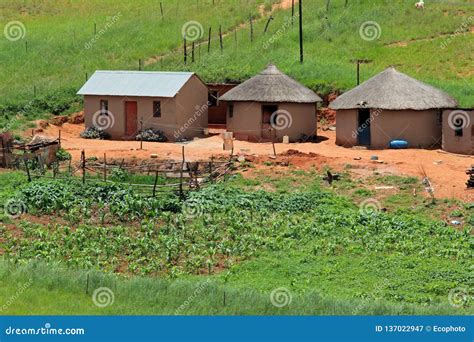 Rural Settlement On A Mountainside With Forest. Stock Photo | CartoonDealer.com #216417870