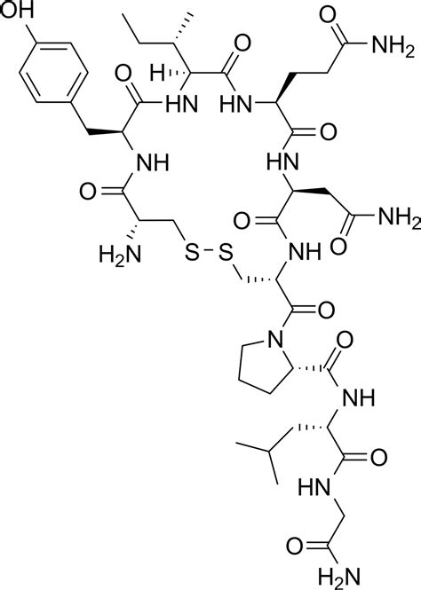 Would the Chemical Structure of Oxytocin be incorrect if turned vertically? : chemistry