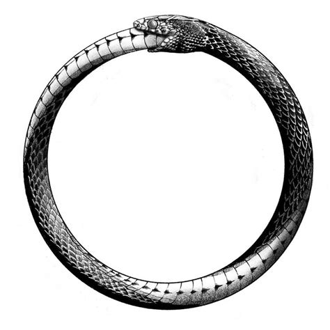 Ouroboros: Symbolism and Meaning in 2022 | Ouroboros tattoo, Symbolic ...