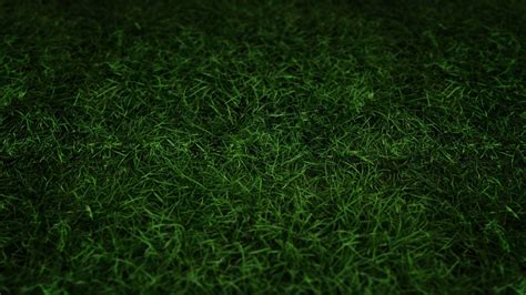 Green Grass Wallpapers - Top Free Green Grass Backgrounds - WallpaperAccess